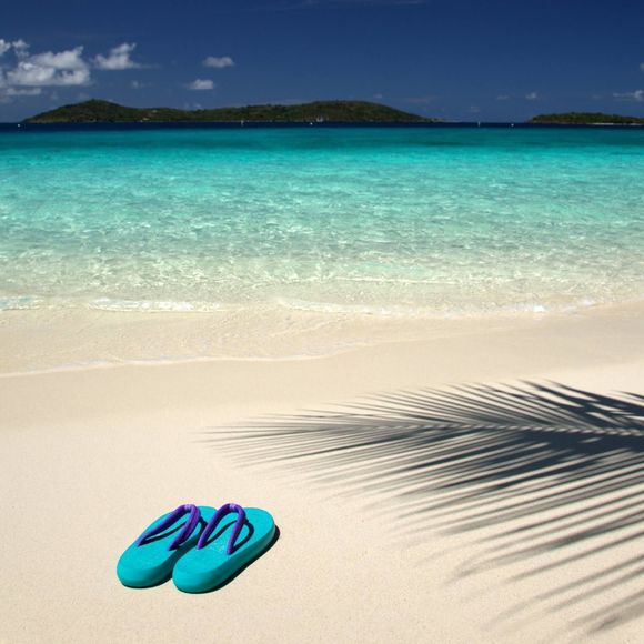 Meet your Posher, Luann - Picture 1 of 1